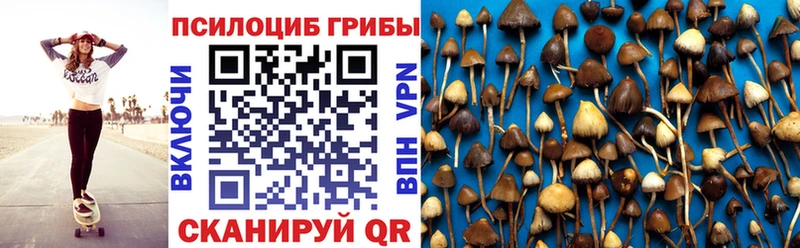 Псилоцибиновые грибы Magic Shrooms  Купить где  Нурлат 